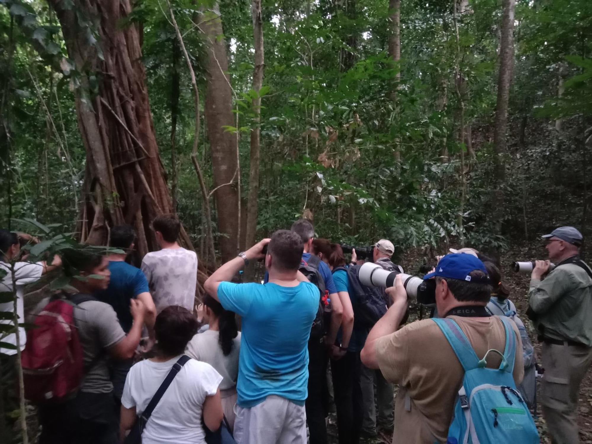 Rinondoran Tangkoko Backpacker Home Stay מראה חיצוני תמונה