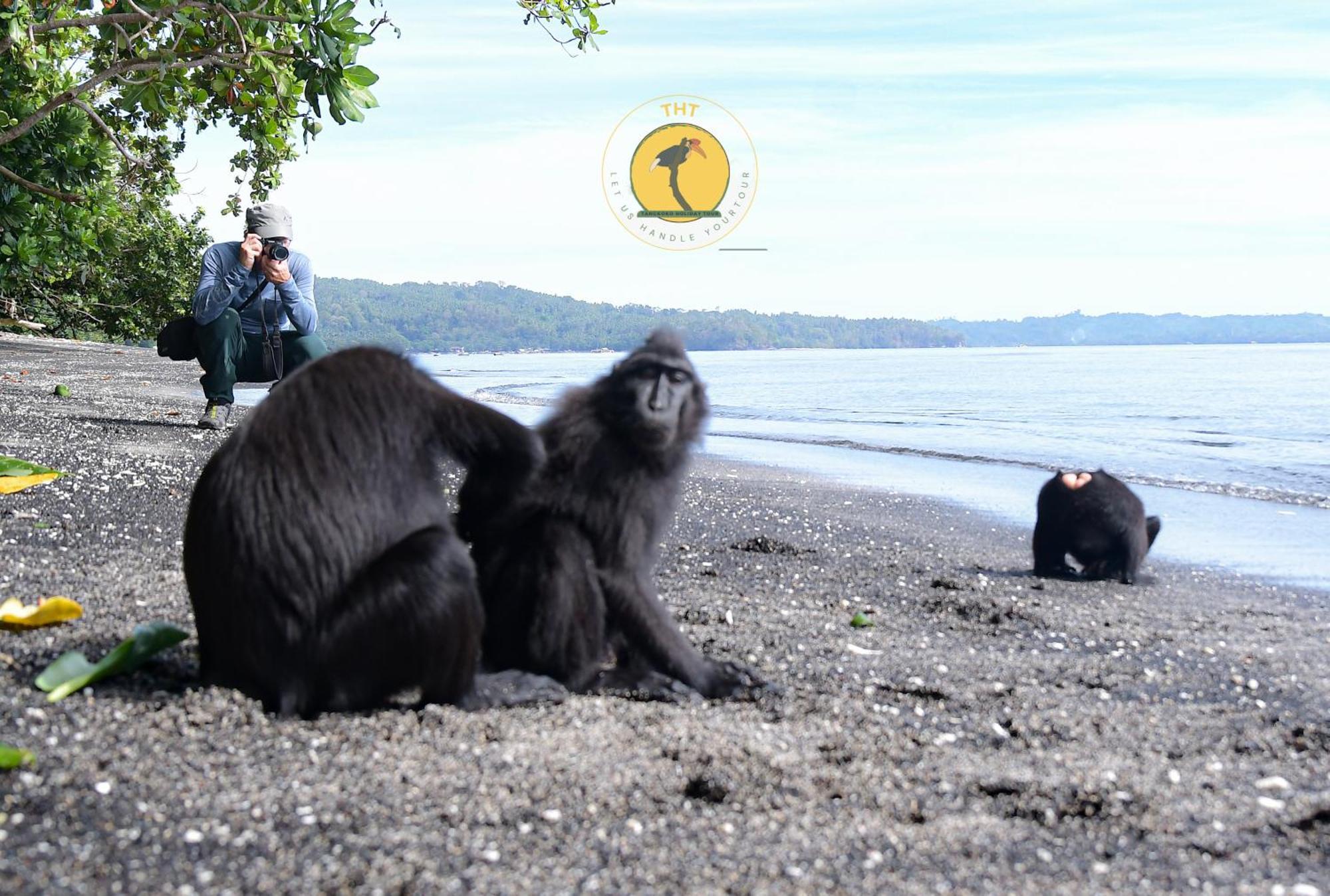 Rinondoran Tangkoko Backpacker Home Stay מראה חיצוני תמונה